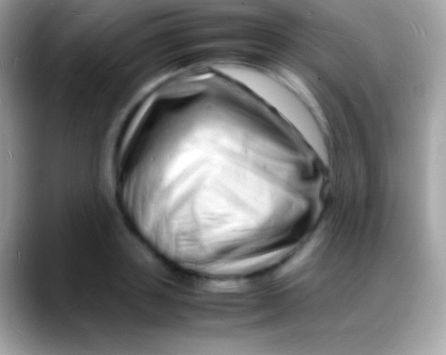 X0000088130843200706041317