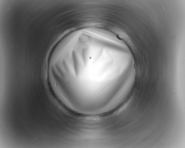 X0000088130844200706041317