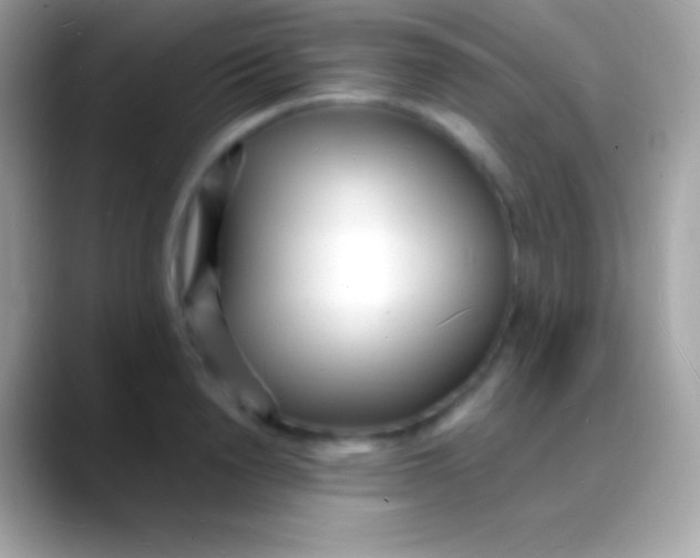 X0000088130846200706041317