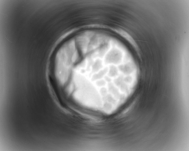 X0000088130847200706041317