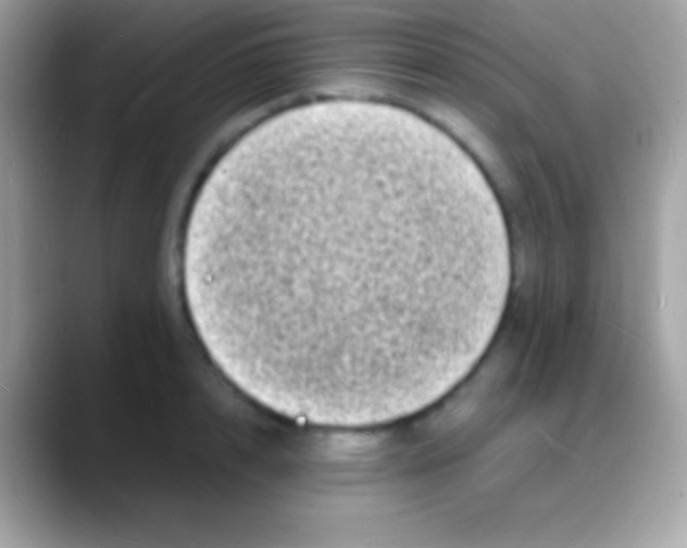 X0000088130848200706041317