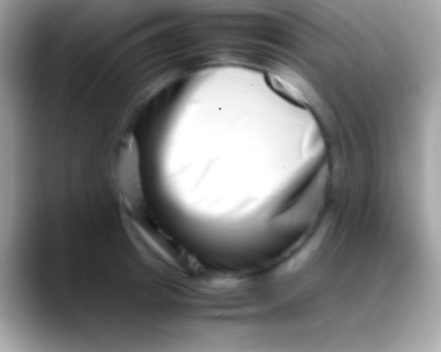 X0000088130849200706041317