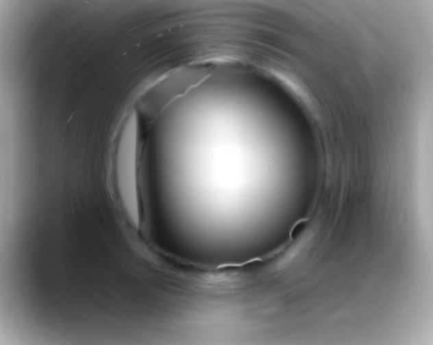 X0000088130850200706041317