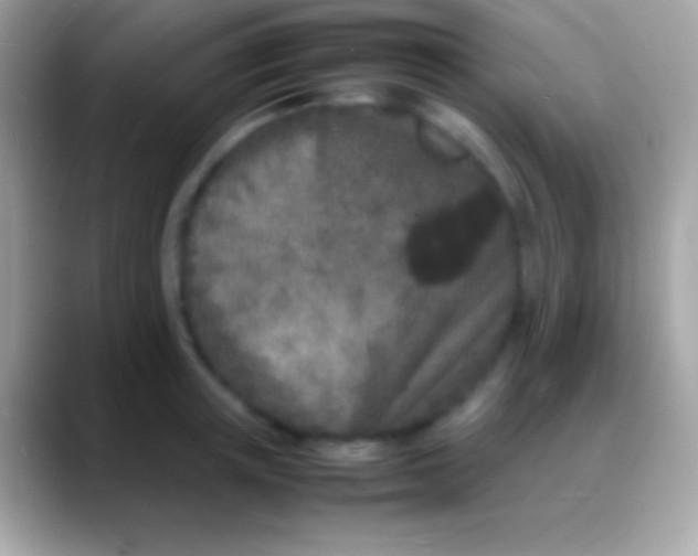 X0000088130851200706041317