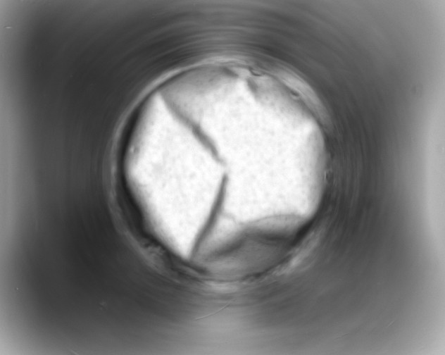 X0000088130852200706041317