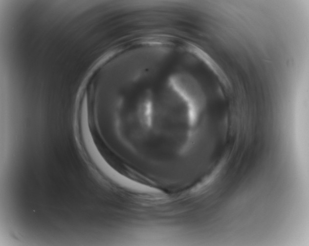 X0000088130853200706041317