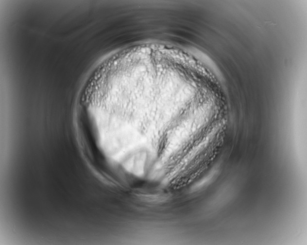 X0000088130855200706041317