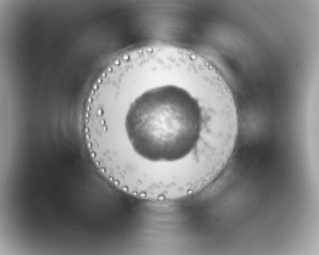 X0000088130856200706041317