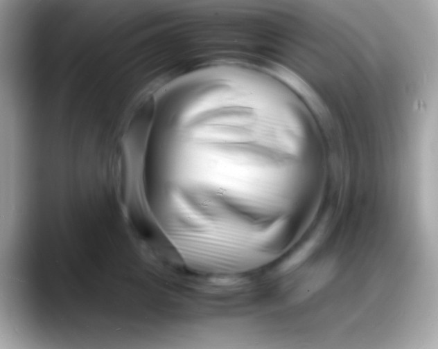 X0000088130857200706041317