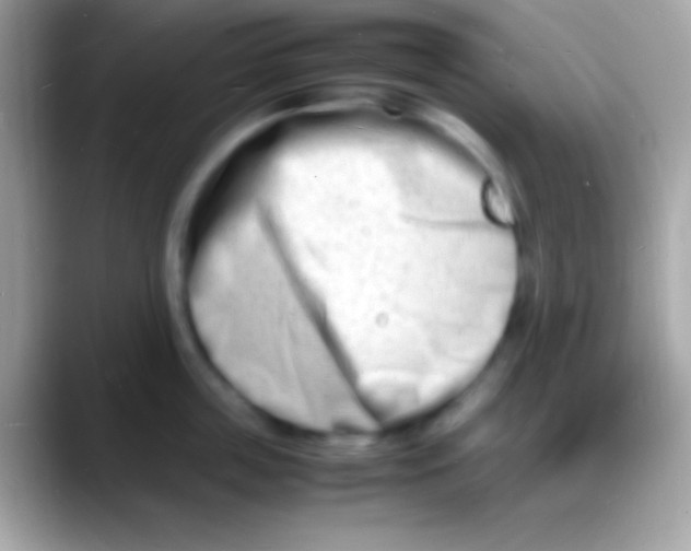 X0000088130859200706041318