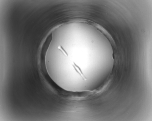 X0000088130860200706041318