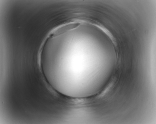 X0000088130862200706041318