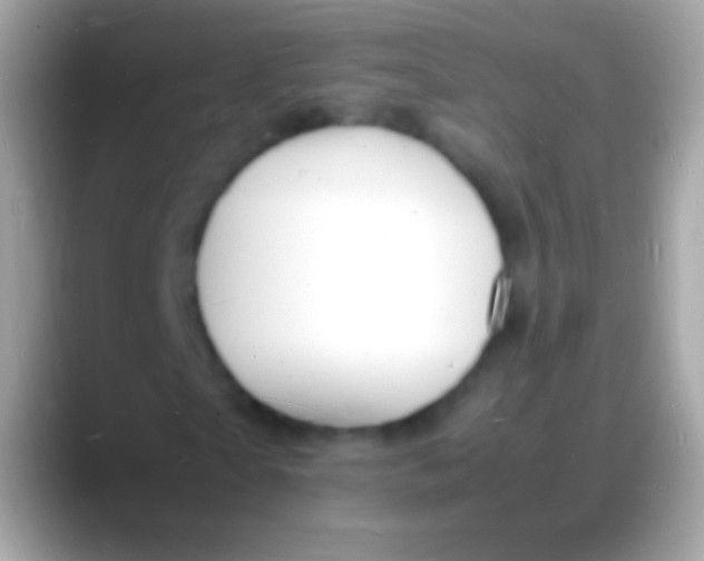 X0000088130865200706041317