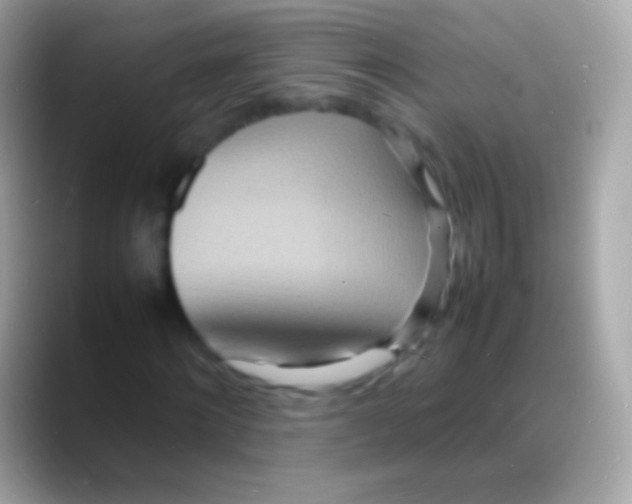 X0000088130868200706041317