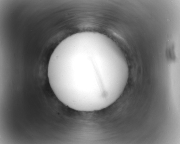 X0000088130870200706041317