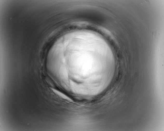 X0000088130871200706041317