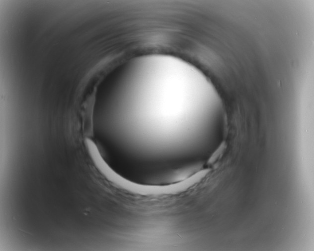 X0000088130872200706041317