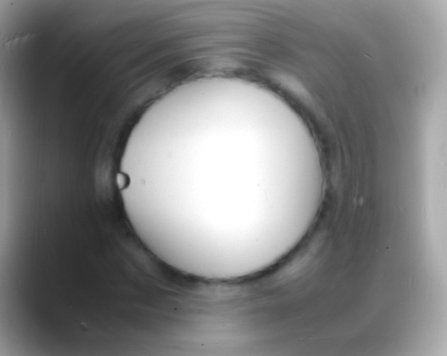 X0000088130873200706041317