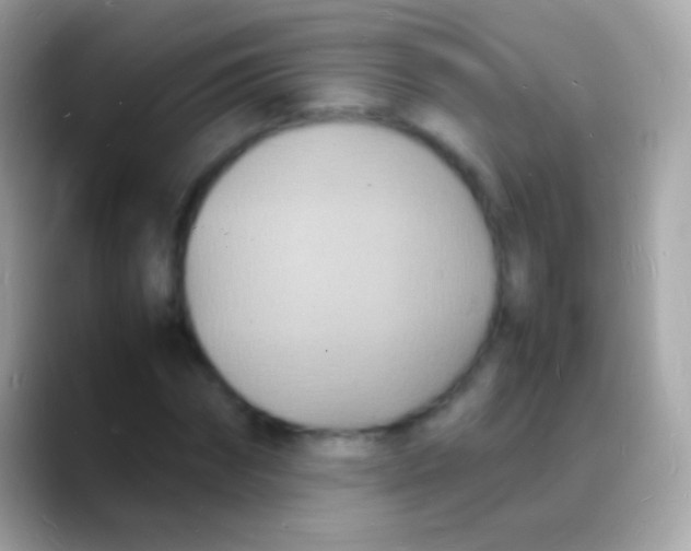 X0000088130874200706041317