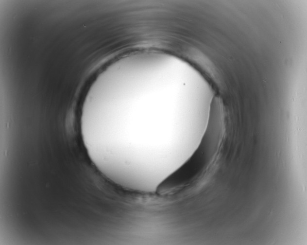 X0000088130876200706041317