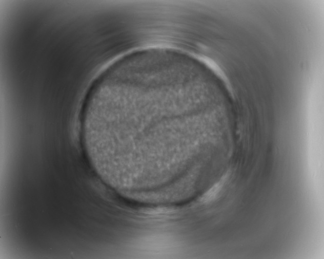 X0000088130879200706041317