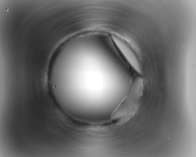 X0000088130880200706041317