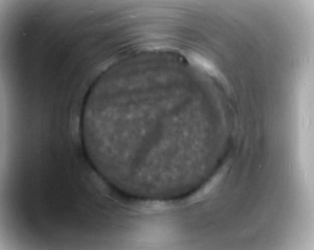 X0000088130881200706041317