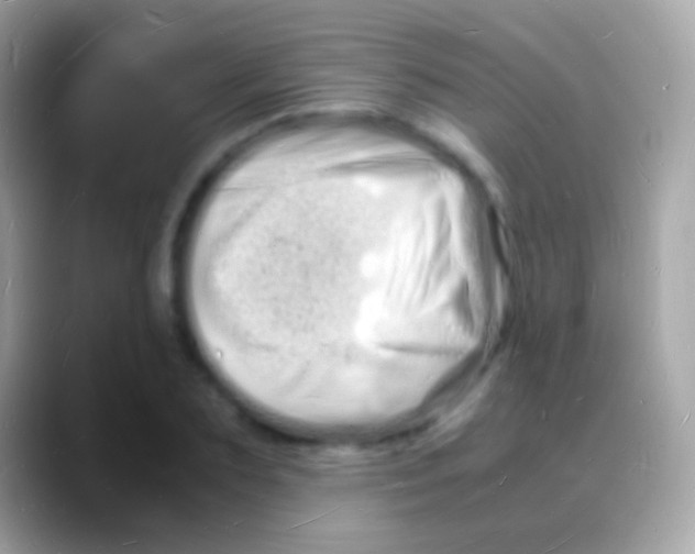 X0000088130883200706041317