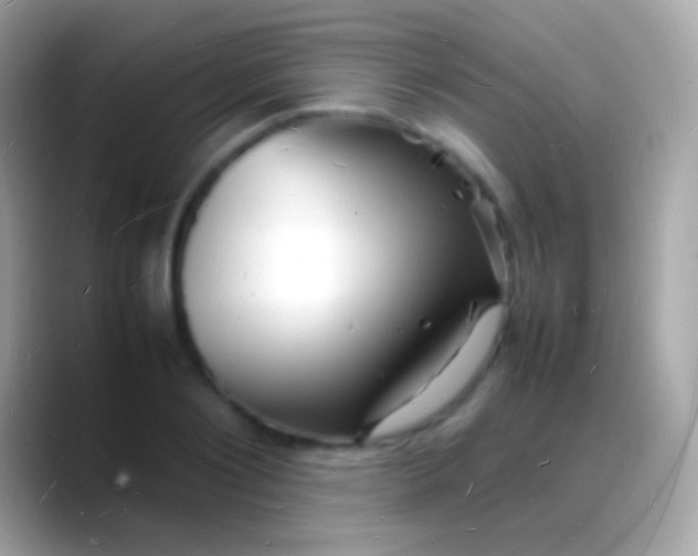 X0000088130884200706041317