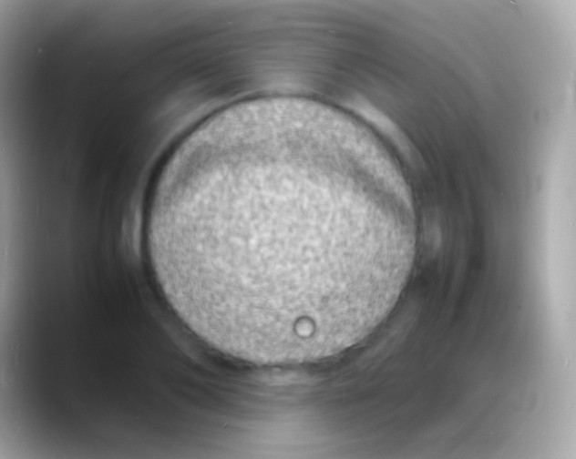 X0000088130886200706041317