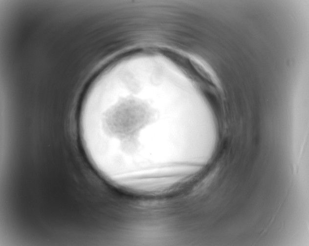 X0000088130887200706041317