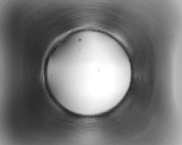 X0000088130888200706041317