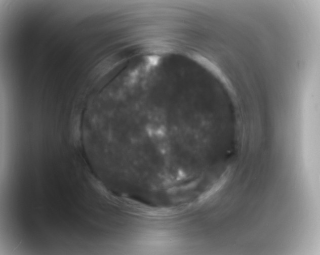 X0000088130889200706041317