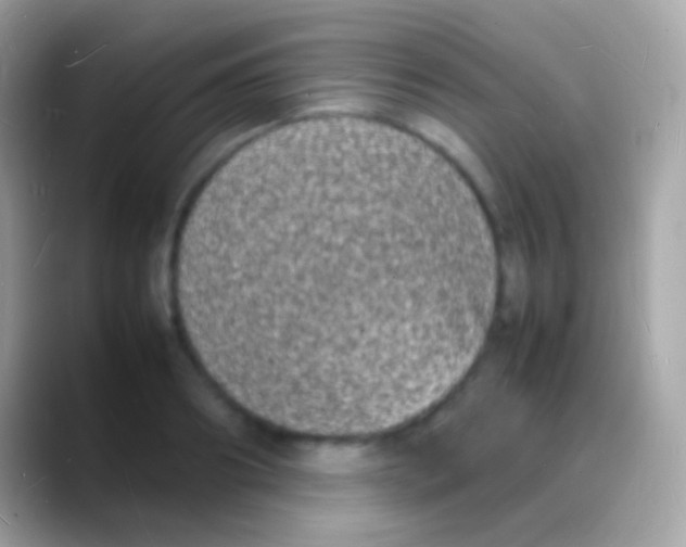 X0000088130890200706041317