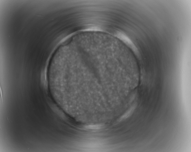 X0000088130892200706041317