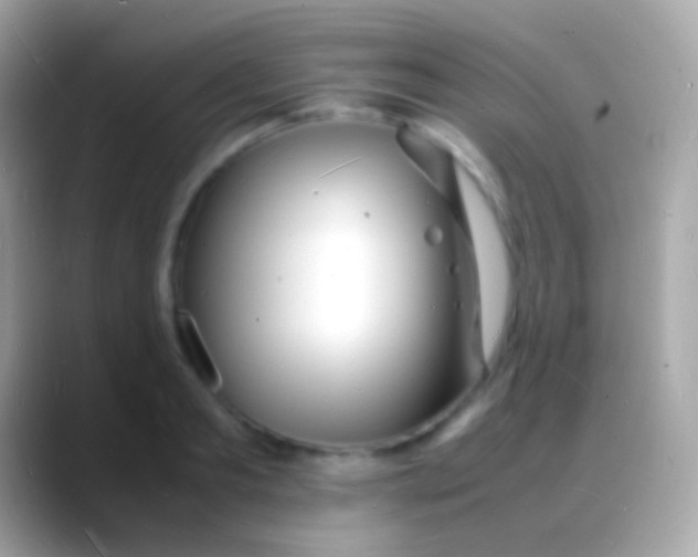 X0000088130893200706041317