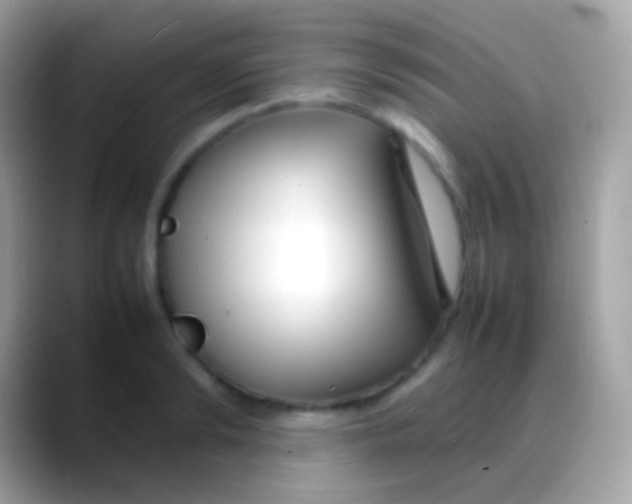 X0000088130894200706041317