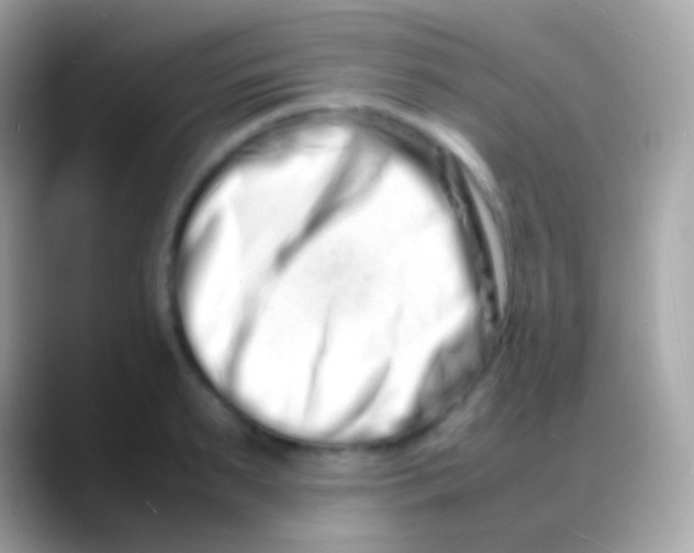 X0000088130895200706041317