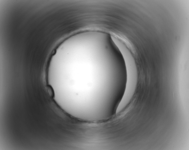 X0000088130896200706041317