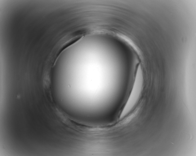 X0000088130897200706041317