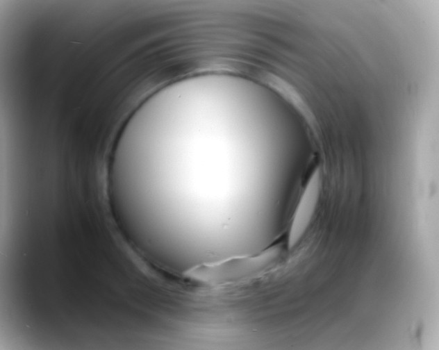 X0000088130898200706041317