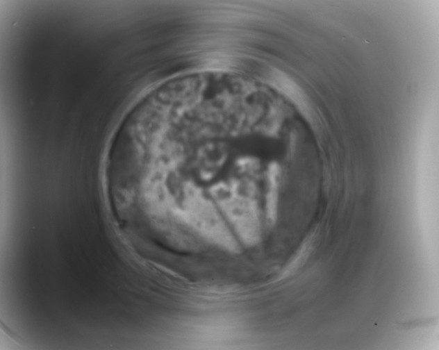 X0000088130899200706041317