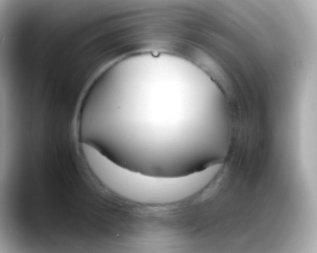 X0000088130900200706041317