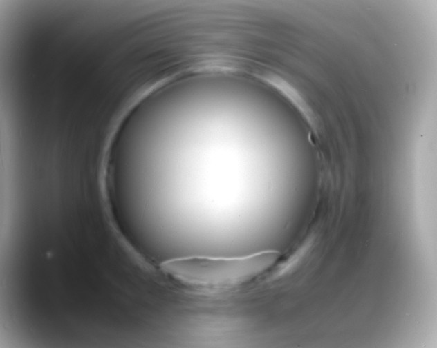 X0000088130901200706041317