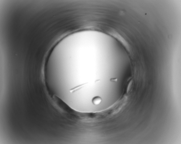 X0000088130902200706041317