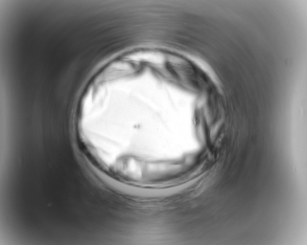 X0000088130903200706041317