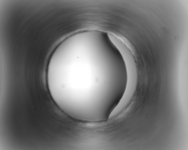 X0000088130904200706041317