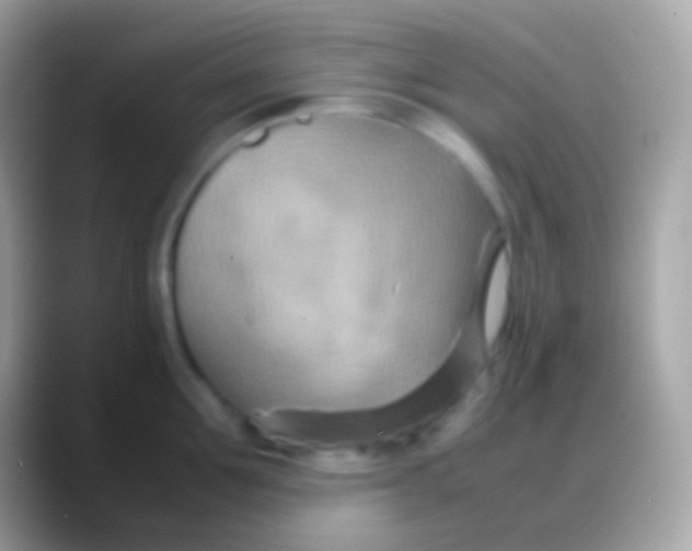 X0000088130907200706041317