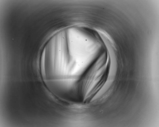 X0000088130910200706041316