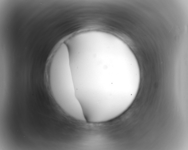 X0000088130912200706041316